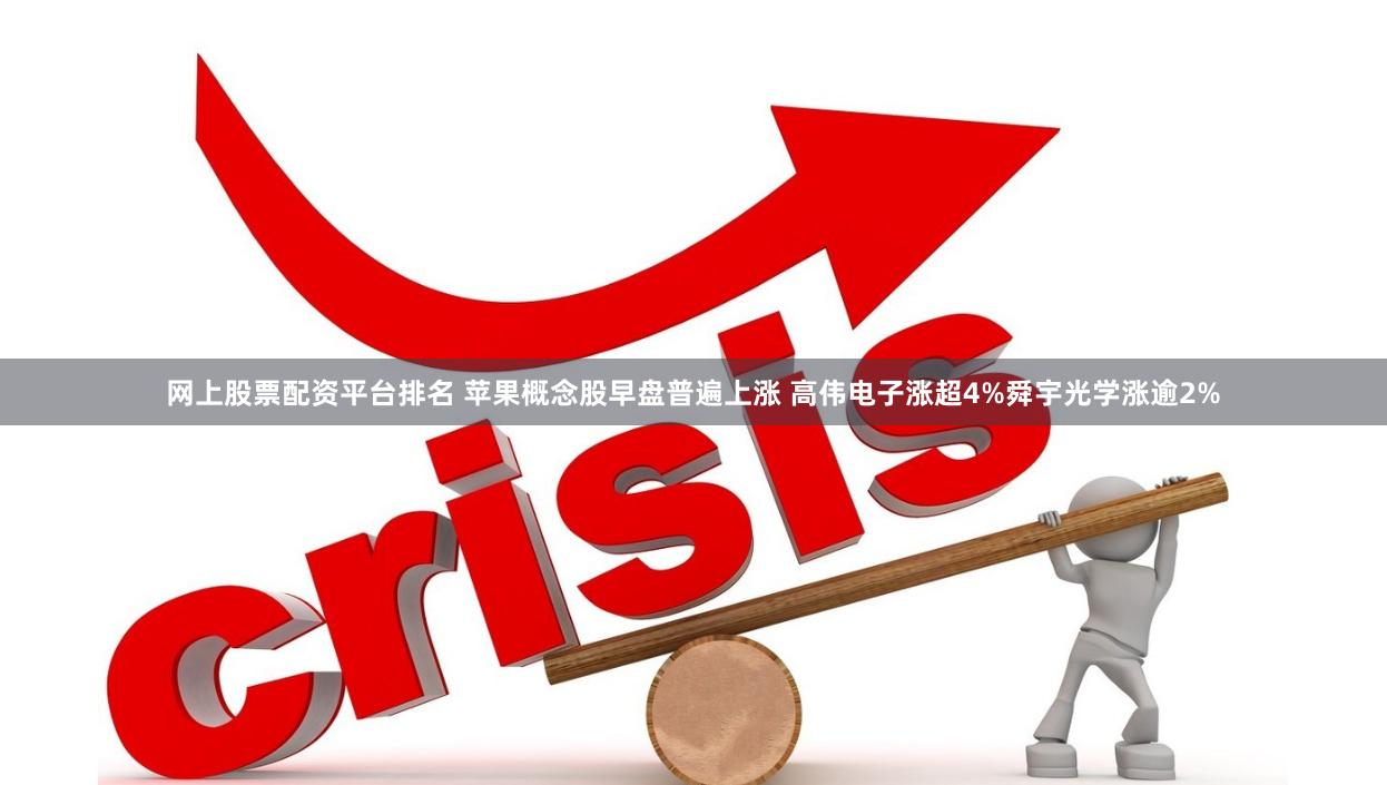 网上股票配资平台排名 苹果概念股早盘普遍上涨 高伟电子涨超4%舜宇光学涨逾2%