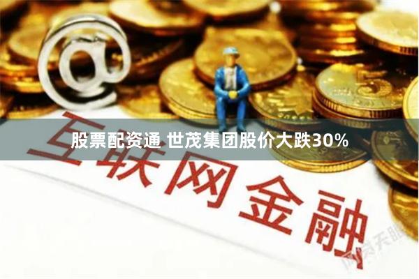 股票配资通 世茂集团股价大跌30%