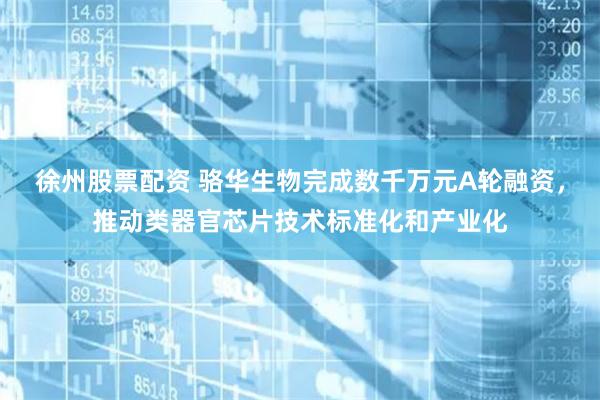 徐州股票配资 骆华生物完成数千万元A轮融资，推动类器官芯片技术标准化和产业化