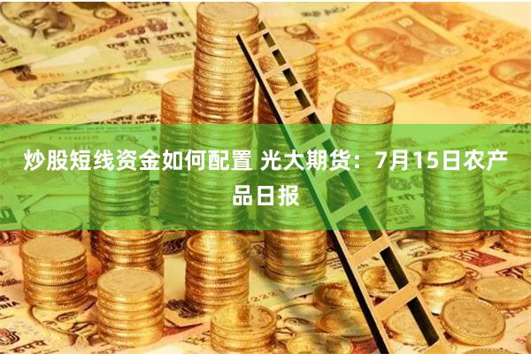 炒股短线资金如何配置 光大期货：7月15日农产品日报
