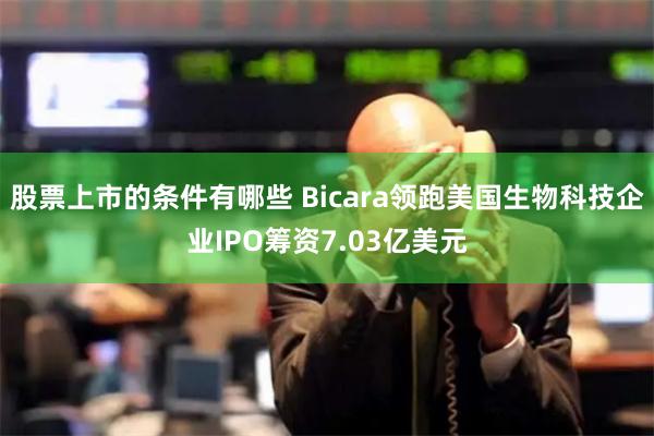 股票上市的条件有哪些 Bicara领跑美国生物科技企业IPO筹资7.03亿美元