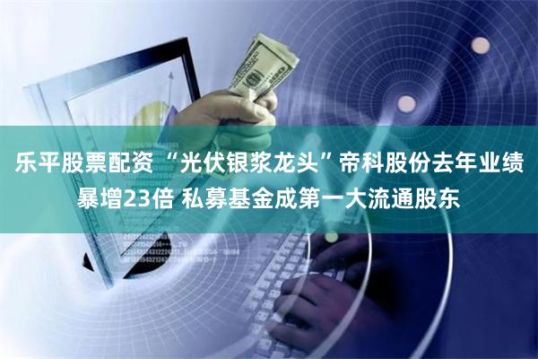 乐平股票配资 “光伏银浆龙头”帝科股份去年业绩暴增23倍 私募基金成第一大流通股东